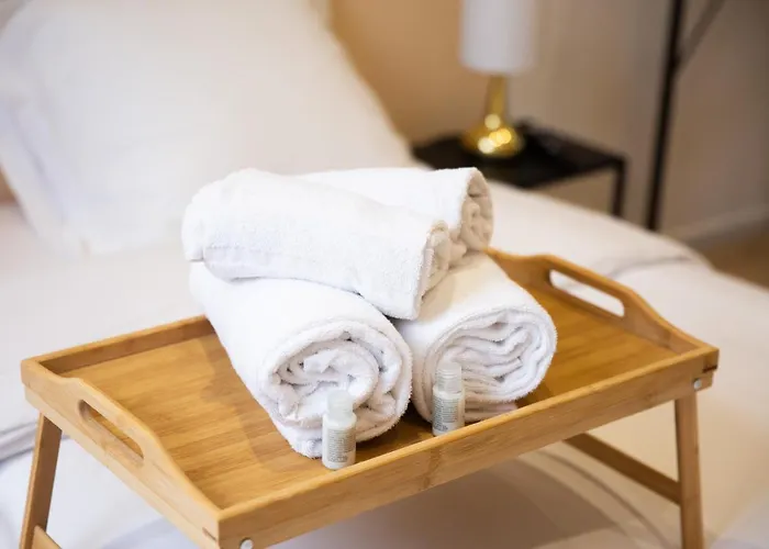 Ng Suitehome - Lille I Barbieux I Croix - Netflix - Wifi * Roubaix